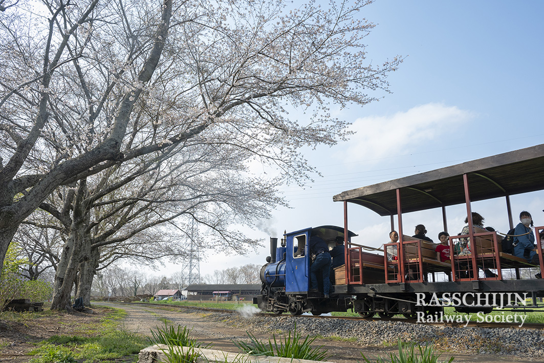 らす日記　満開にはチョット早かったかな、、、【3月SL運転】